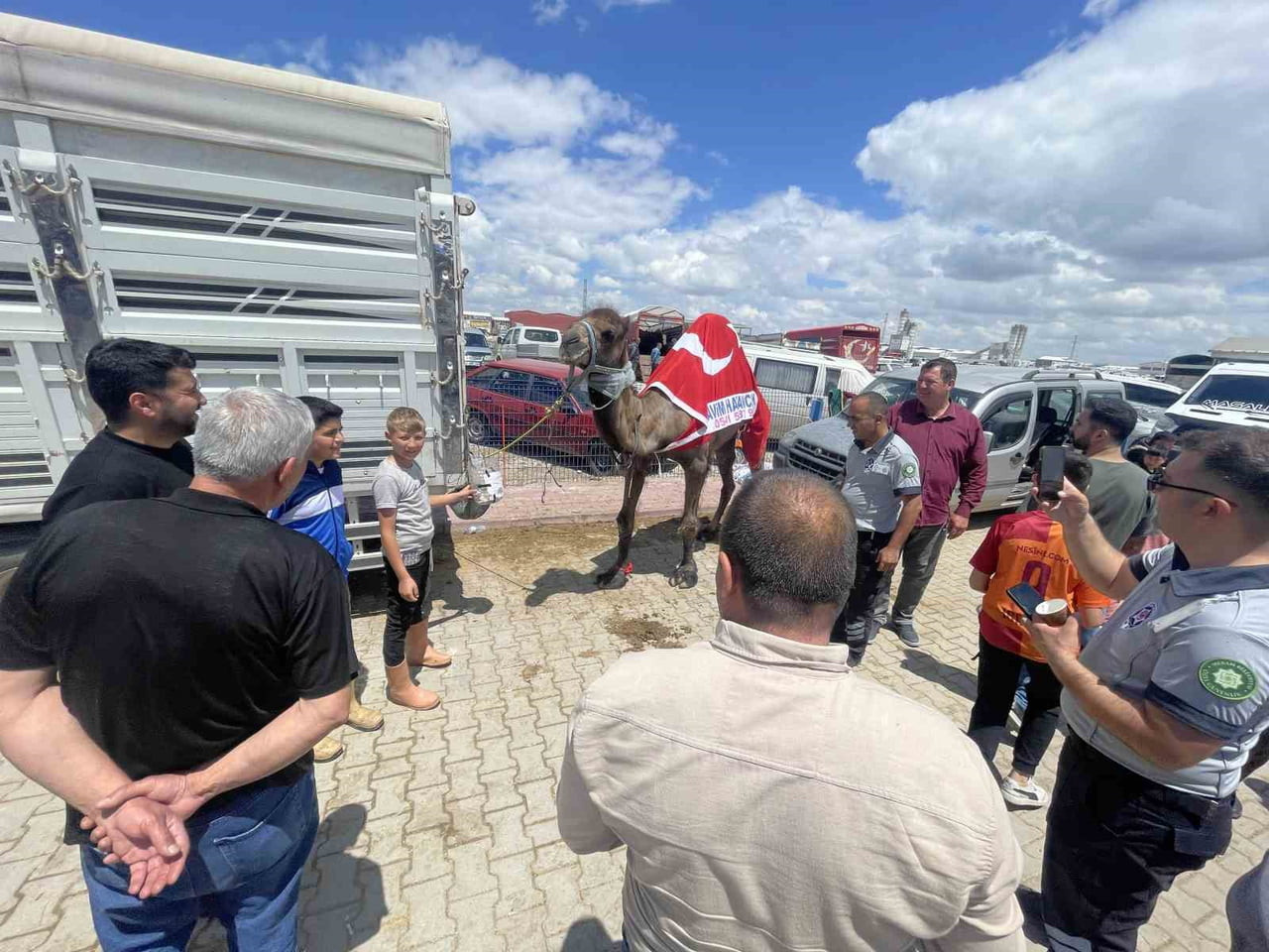 KONYA’DA KURBAN BAYRAMI ÖNCESİ KURULAN HAYVAN PAZARINA GETİRİLEN 780 KİLOGRAMLIK DEVE...