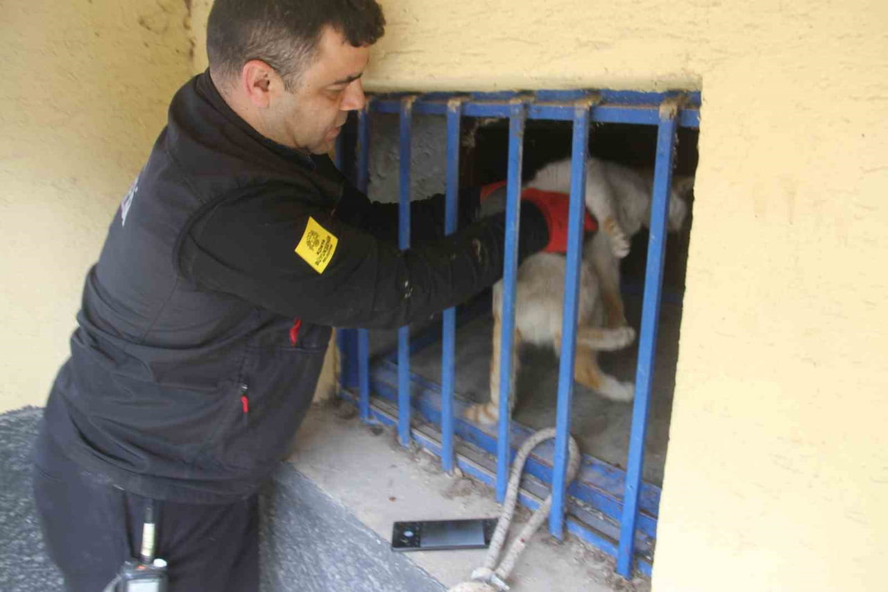 KONYA’NIN BEYŞEHİR İLÇESİNDE AÇLIKTAN BİTKİN DÜŞEN KEDİ İTFAİYE TARAFINDAN KURTARILDI