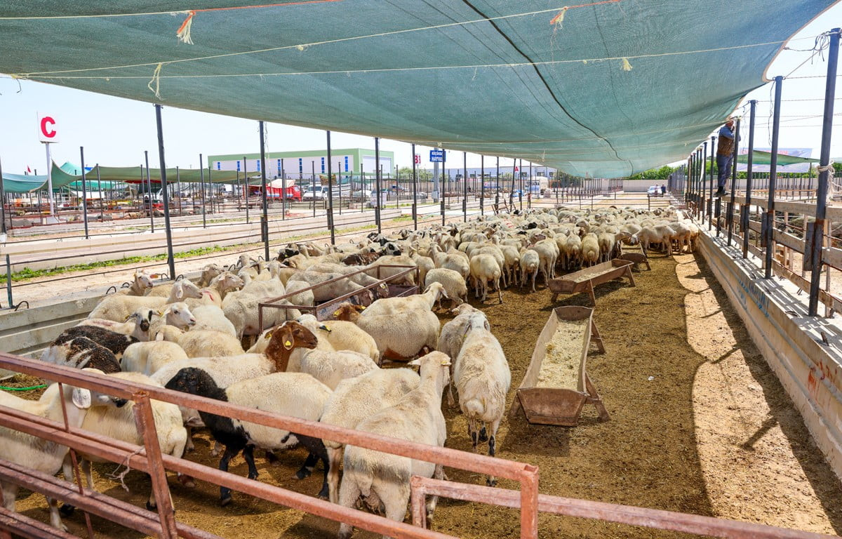 KONYA’NIN MERKEZ SELÇUKLU İLÇE BELEDİYESİ, YAKLAŞAN KURBAN BAYRAMI ÖNCESİNDE VATANDAŞLARIN HUZURLU...