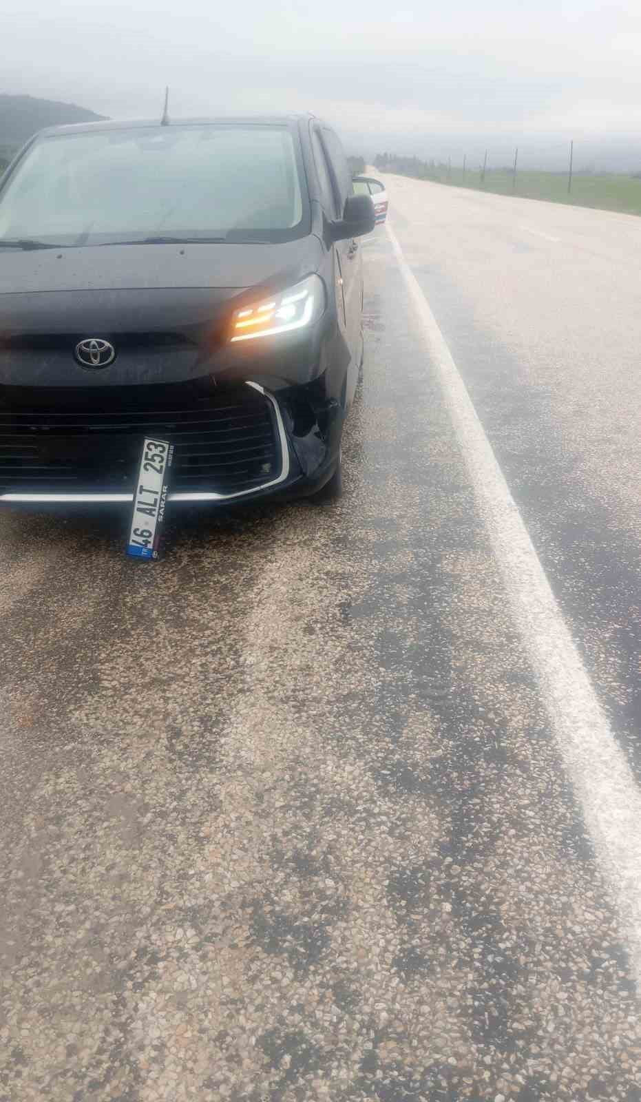 KÖPEĞE ÇARPAN ARAÇ KAZA YAPTI: MADDİ HASAR OLUŞTU