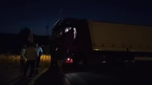 Köpek sürüsüne çarpmamak için manevra yapan tır yoldan çıktı
