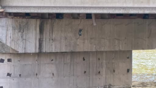 Köprü altında ipe takılan güvercine itfaiye eli uzandı