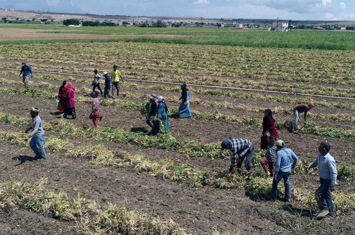 Köye dönüş projesi 2022 nereye başvurulur