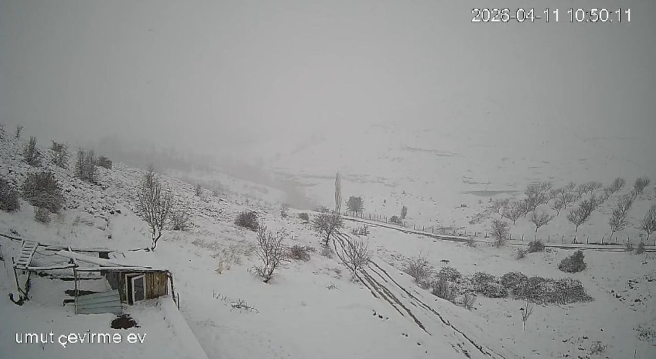 KÖYE İNEN KURT SÜRÜSÜ KAMERAYA YANSIDI