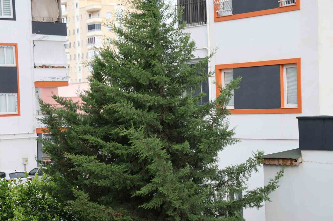 KOZAN İLÇESİNDE KENT MERKEZİNDE RÜZGAR ETK,İLİ OLUYOR