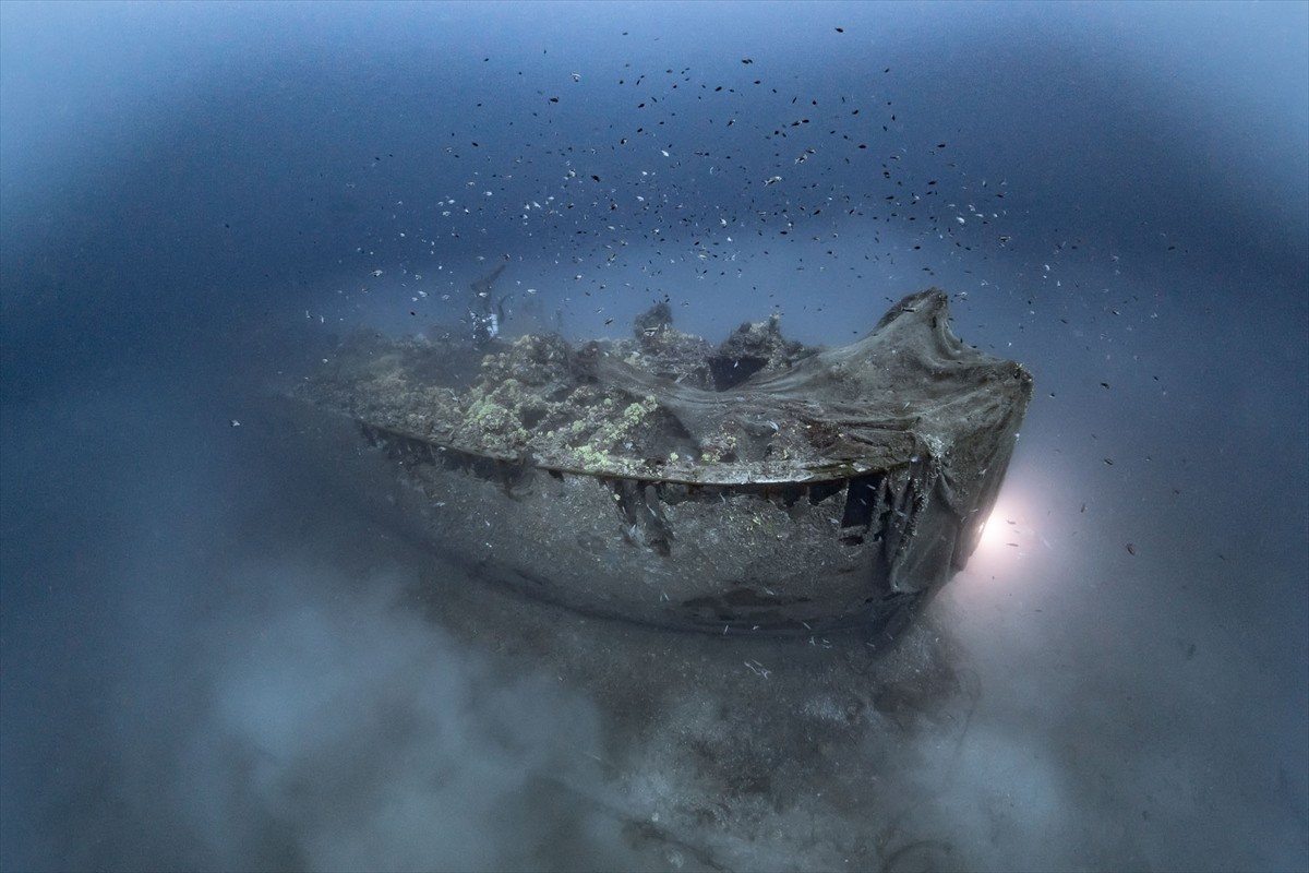 Kültür ve Turizm Bakanlığı Çanakkale Savaşları ve Gelibolu Tarihi Alan Başkanlığının...