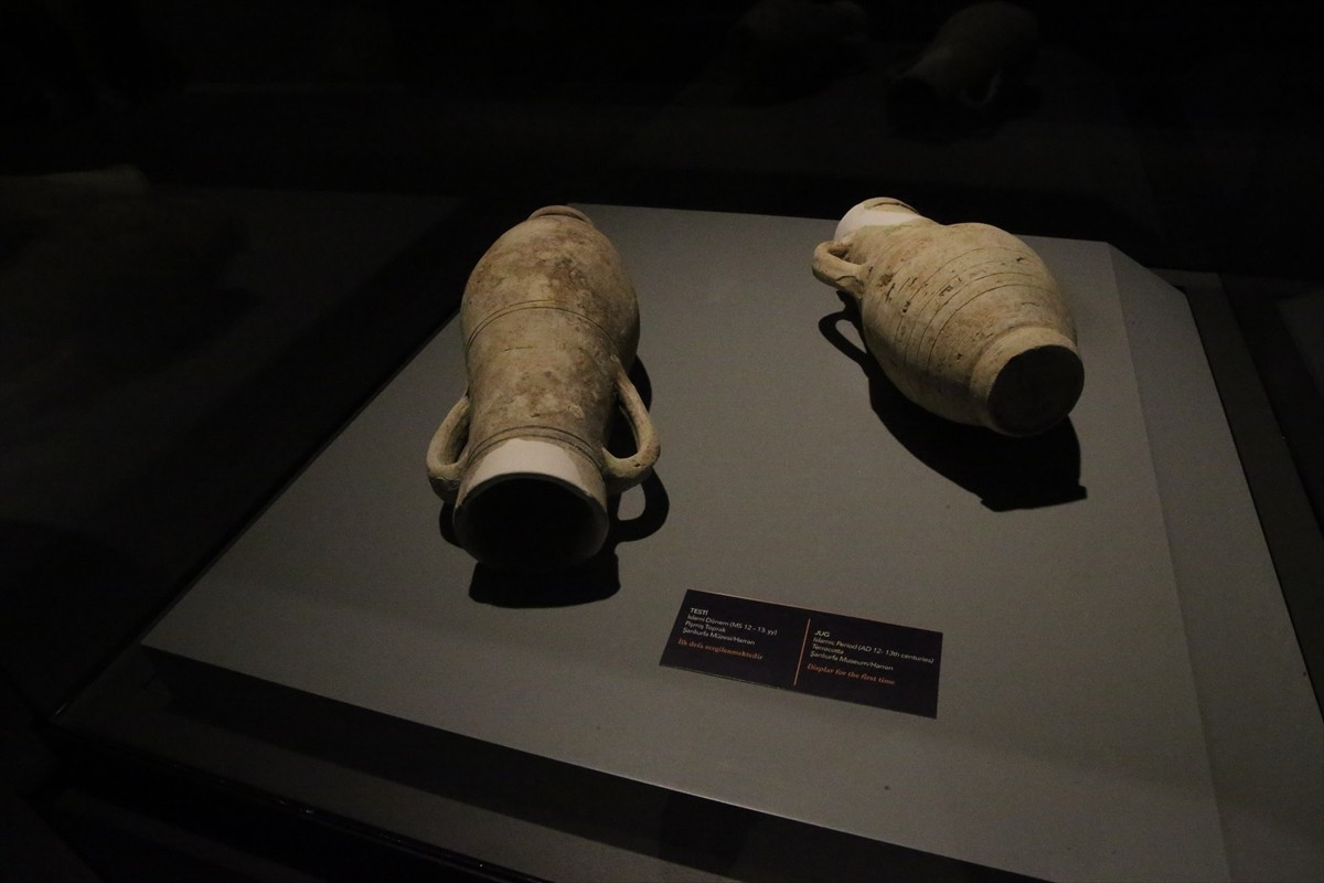 Kültür ve Turizm Bakanlığınca UNESCO Dünya Mirası Geçici Listesi'nde yer alan Harran ilçesindeki...