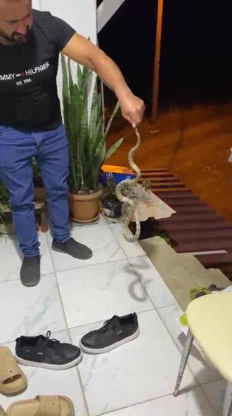 KUMLUCA İLÇESİNDE EVE GİRMEK ÜZEREYKEN FARK EDİLEN YILANI YAKALAYAN EV SAHİBİ, "EVİME GELME BAK...