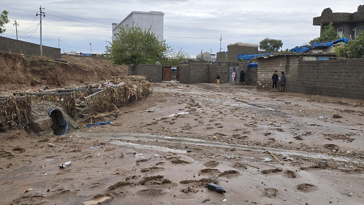 Kuraklıkla boğuşan Irak’ın Erbil kenti başta olmak üzere kuzeyinde bulunan bölgelere aylar sonra...