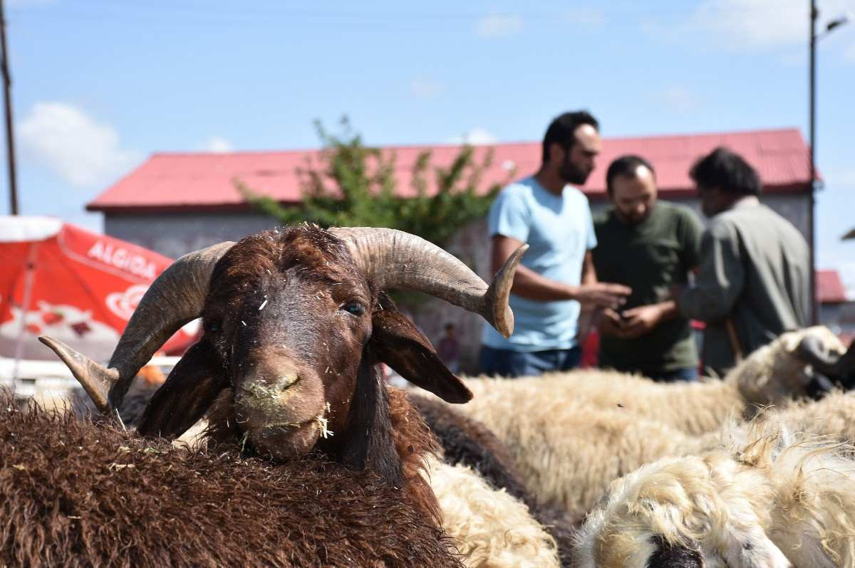 kurban bayramı