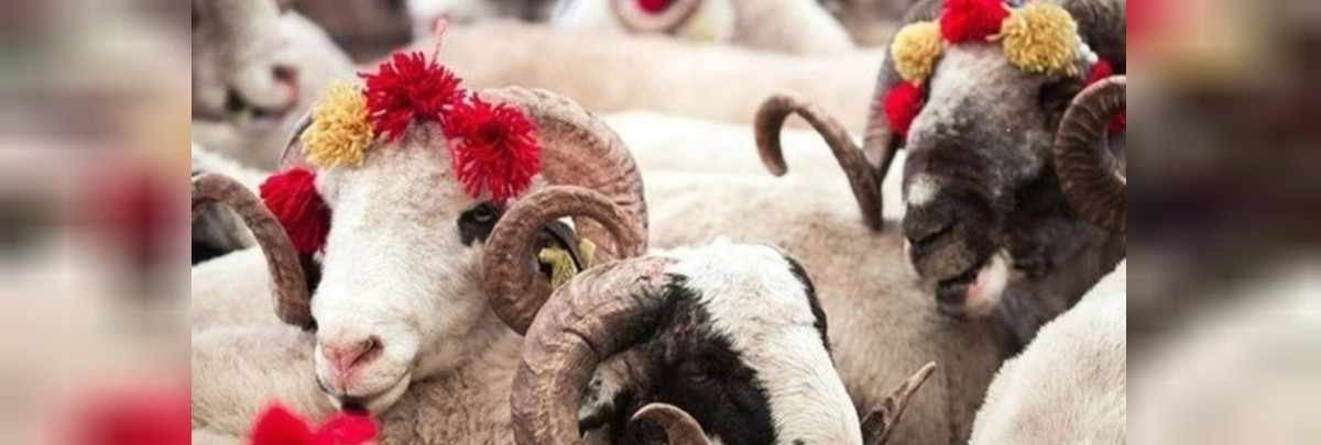 Kurban Bayramı