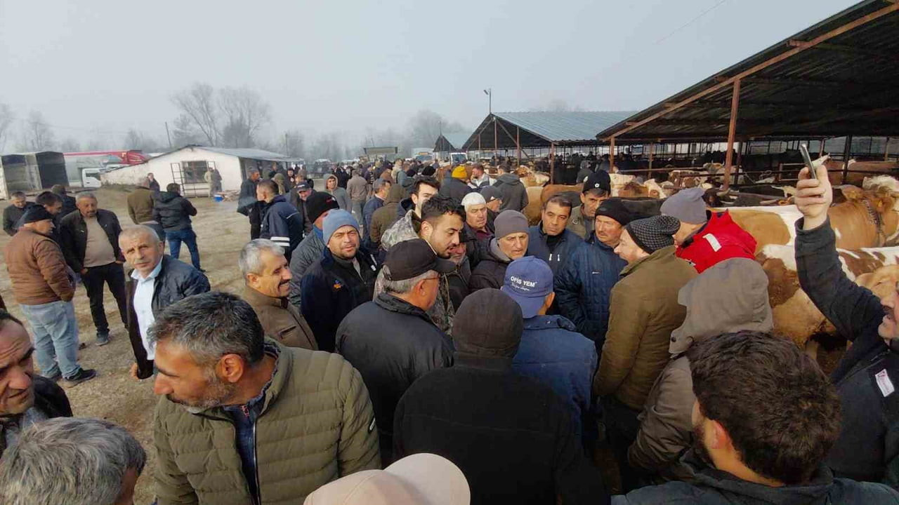 KURBAN BAYRAMI'NA 1,5 AY KALA BOLU'NUN MUDURNU İLÇESİNDE KURULAN HAYVAN PAZARINDA HAREKETLİLİK...