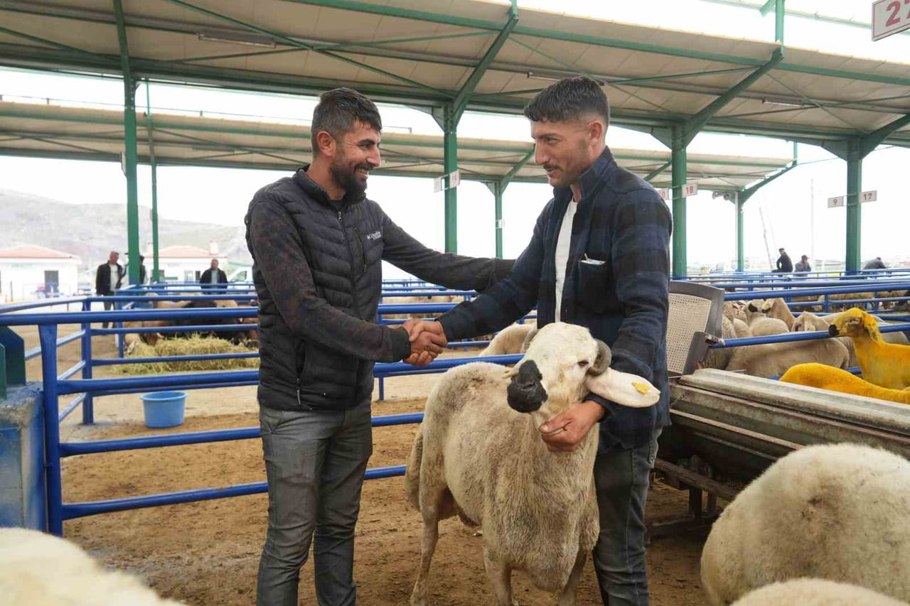 KURBAN BAYRAMI’NIN YAKLAŞMASIYLA BİRLİKTE NİĞDE’DE CANLI HAYVAN PAZARINDA HARAKETLİ GÜNLER...
