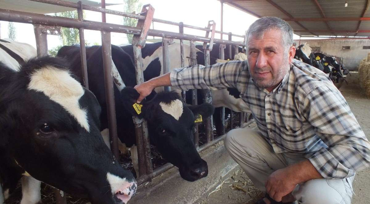 Kurban dolandırıcıları yakalandı