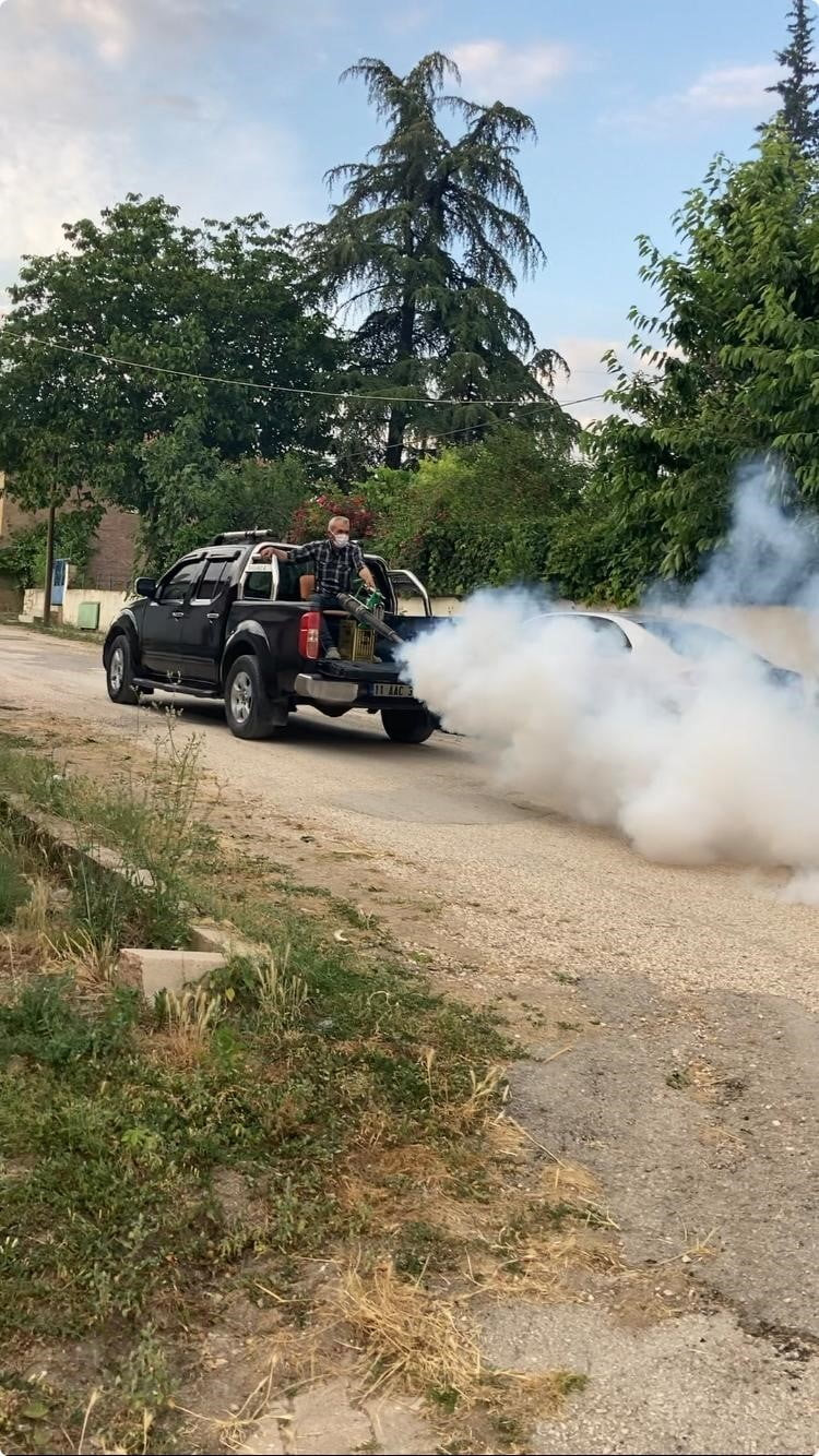 KURŞUNLU KÖYÜ'NDE SİNEK SEFERBERLİĞİ