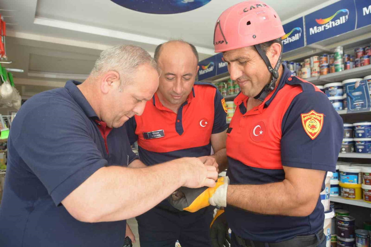 KURTARILAN KUŞUN AYAĞINDAKİ İPİN ÇIKARILMASI