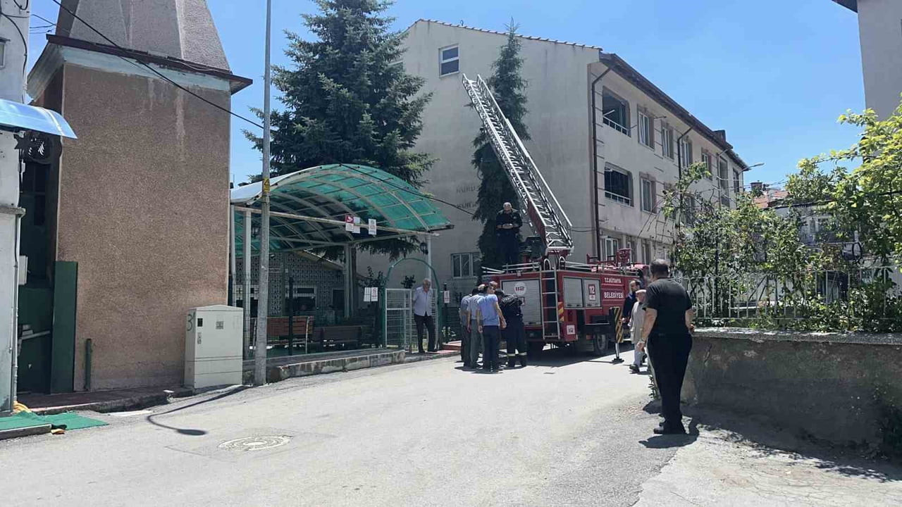 KÜTAHYA'DA AĞACA TAKILAN SERÇE İTFAİYE EKİPLERİNCE KURTARILDI