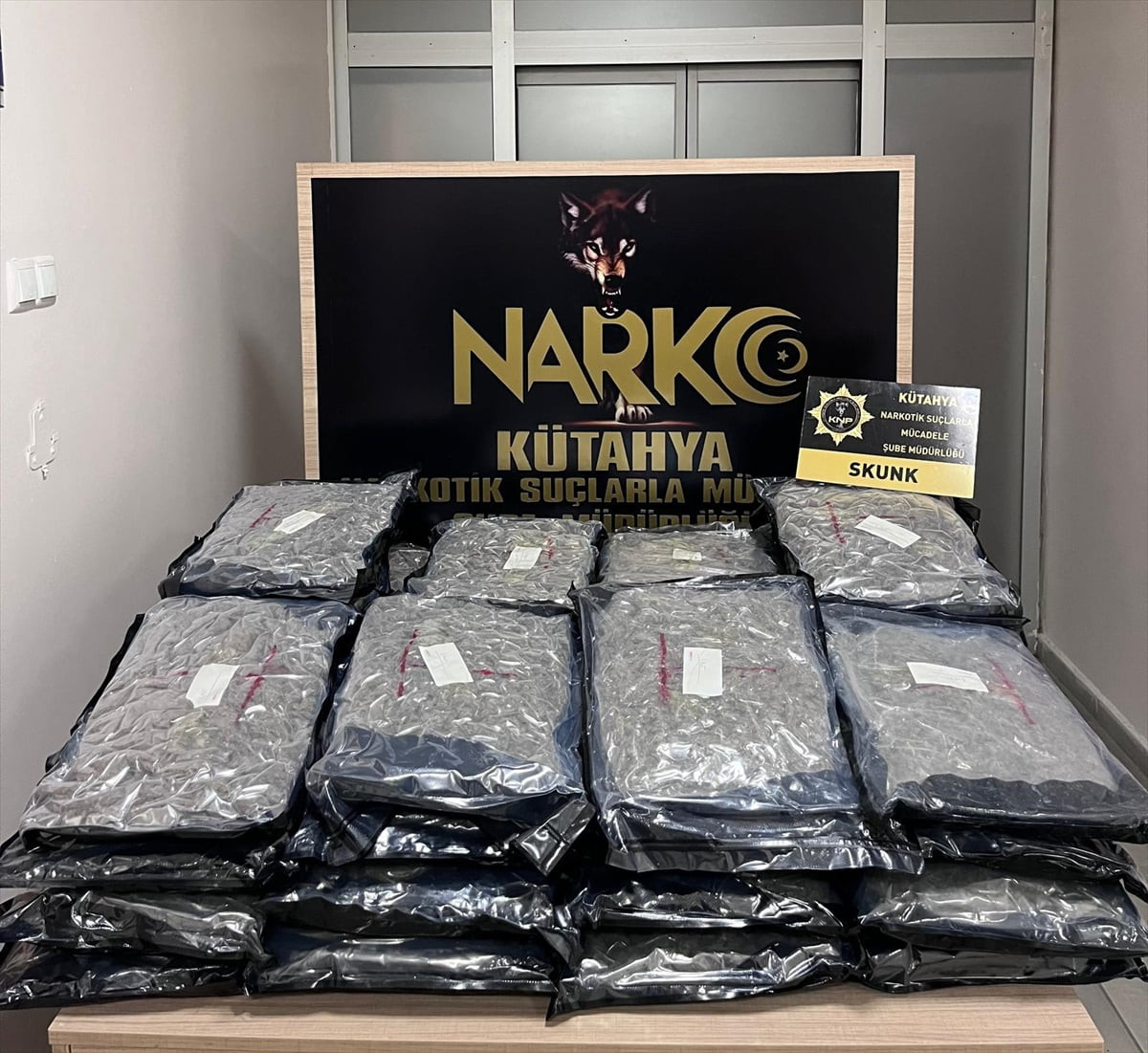Kütahya'da düzenlenen uyuşturucu operasyonunda gözaltına alınan 12 zanlı tutuklandı. Şüphelilerin...