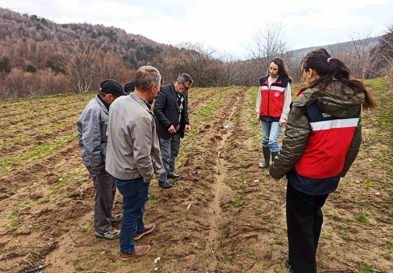 KÜTAHYA’DA YÜZDE 75 HİBELİ AHUDUDU BAHÇELERİNDE KONTROLLER GERÇEKLEŞTİRİLDİ