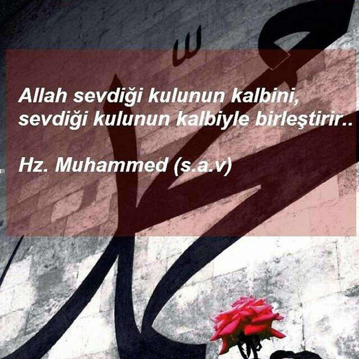 Kutlu doğum haftası mesajları