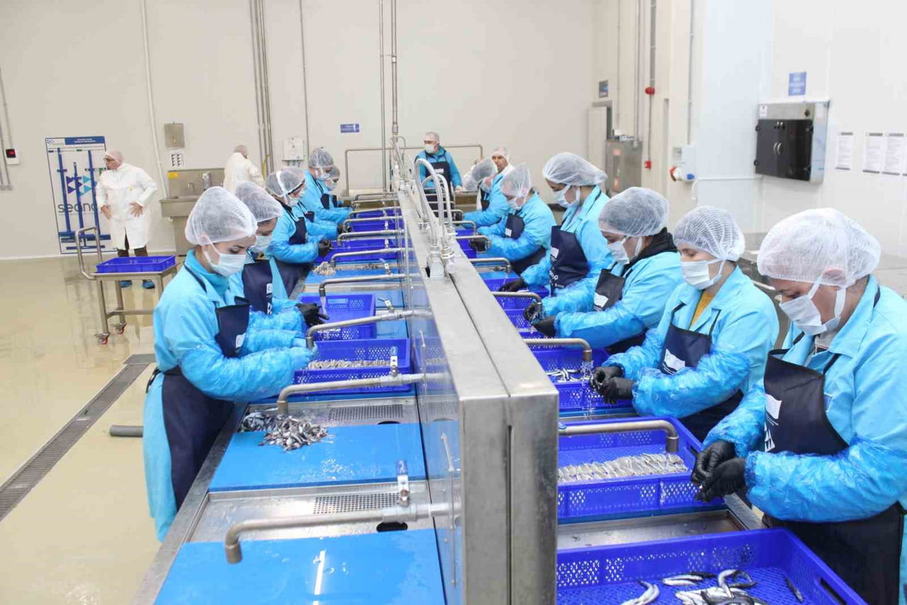 KUZEY ANADOLU KALKINMA AJANSI’NIN DESTEĞİYLE KURULAN LAKERDA VE SU ÜRÜNLERİ ÜRETİM TESİSİ’NDE...