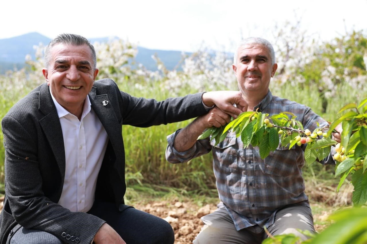 KUZEY YARIMKÜRE’DE AÇIK ALANDA YETİŞTİRİLEN İLK KİRAZIN ÜRETİLDİĞİ ŞEHZADELER’DE HASAT ÖNCESİ...