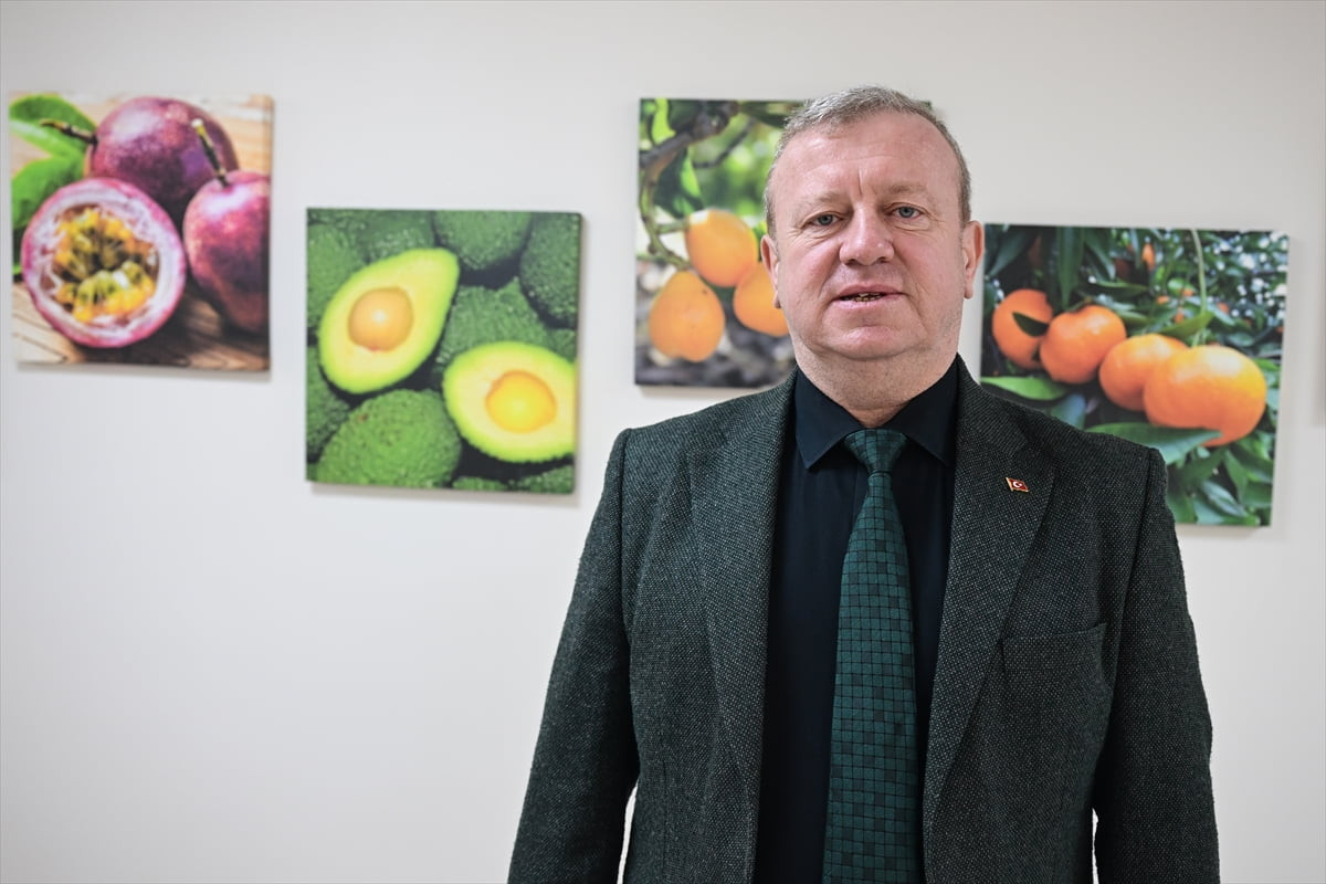 Lezzeti ve yüksek getirisiyle öne çıkan tropikal meyvelerin Türkiye'ye adaptasyonu için süren...