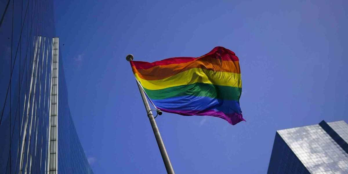 LGBT bayrağı