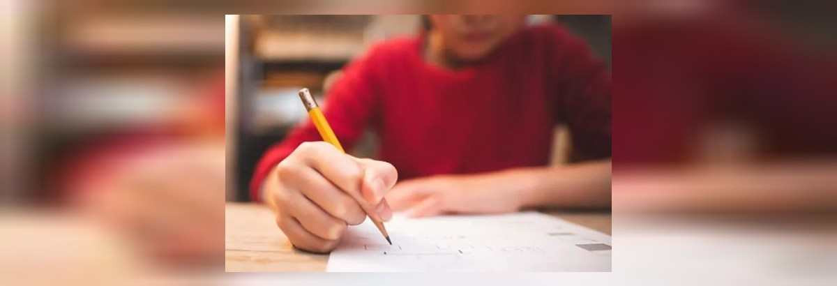 lgs tercihleri nasıl yapılacak, lgs yerel yerleştirme nedir
