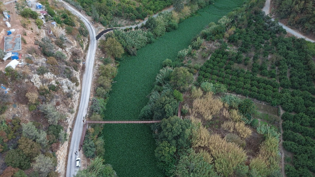 Lübnan'ın Bekaa Vadisi'nde doğan, Suriye'den geçerek Hatay'ın Samandağ ilçesinden Akdeniz'e...