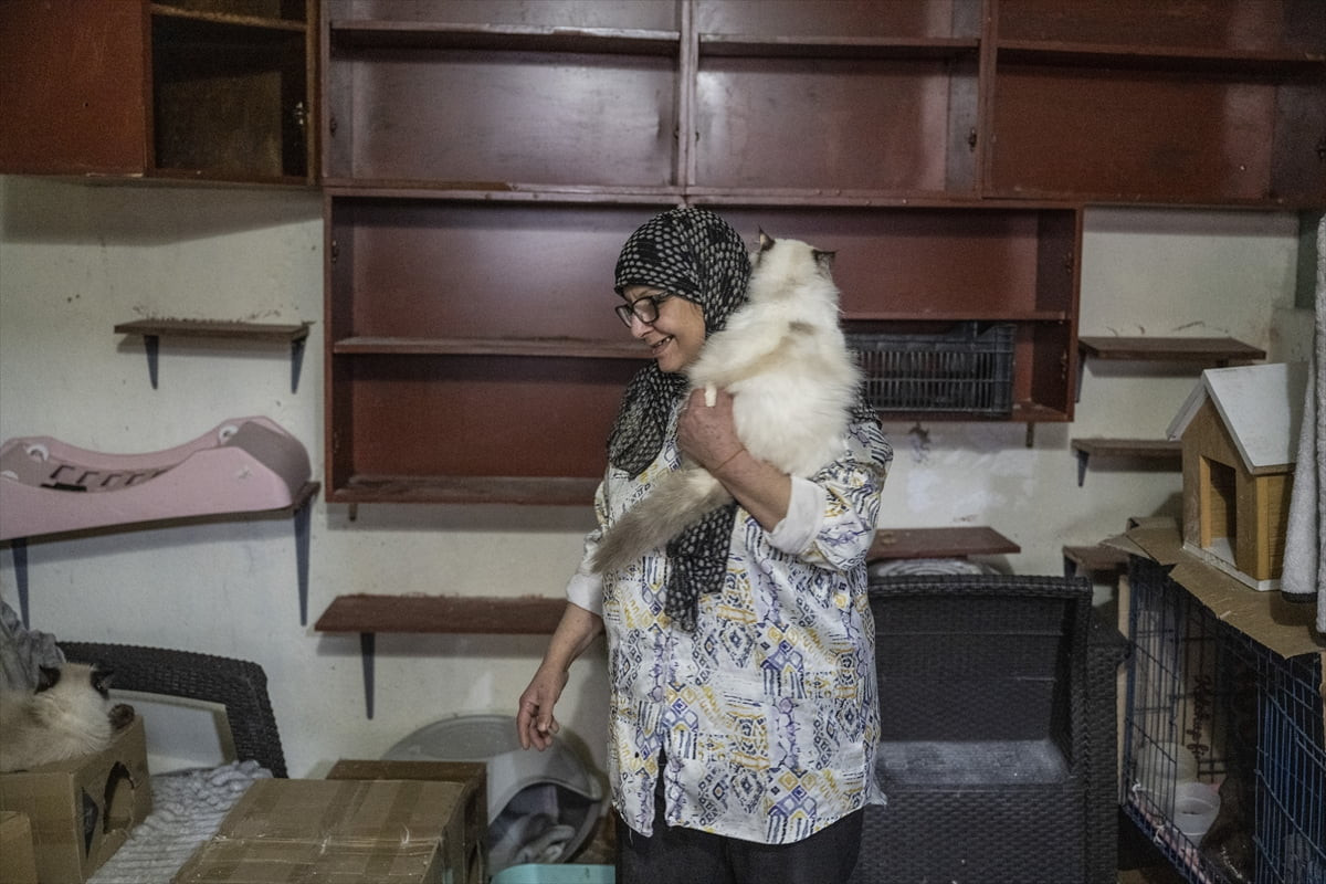 Lübnan’ın başkenti Beyrut’ta sahipsiz kedilere bakan 57 yaşındaki Diyana Abadi, İsrail’in Dahiye...