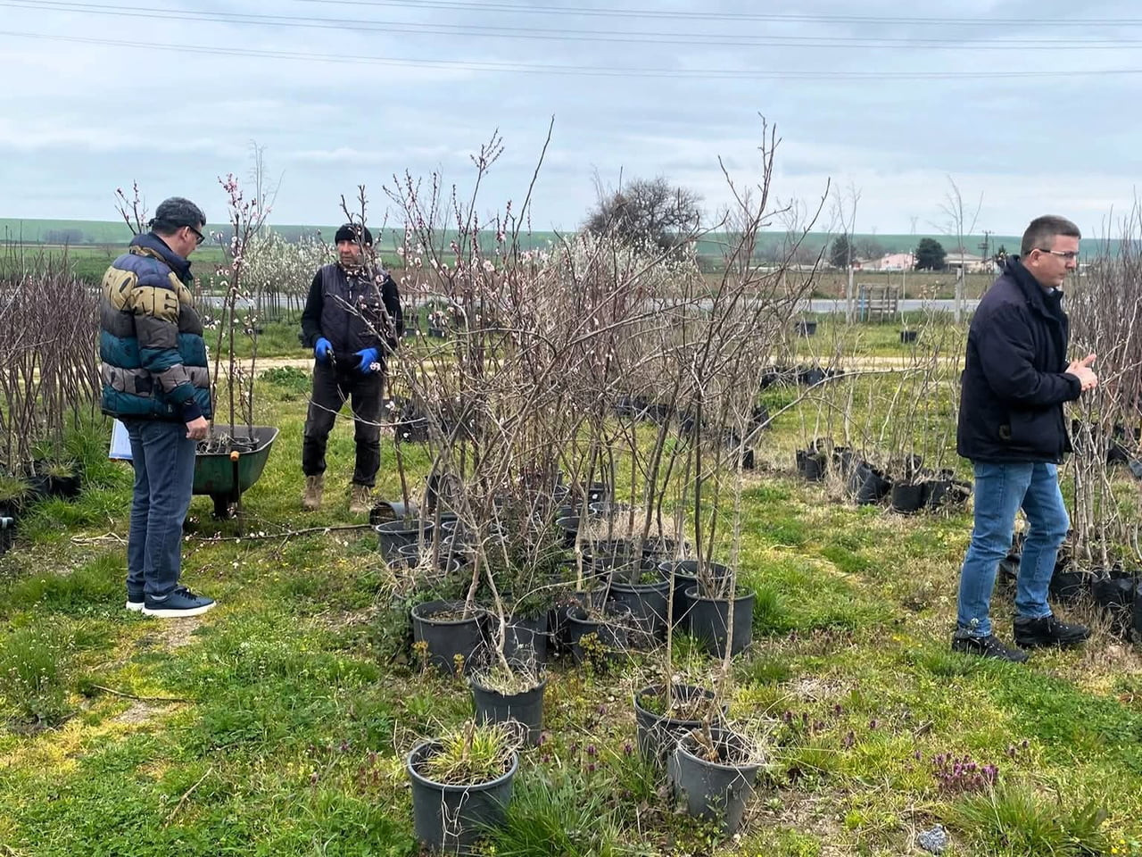 LÜLEBURGAZ'DA FİDAN SATIŞ NOKTALARINA DENETİM  YAPILDI