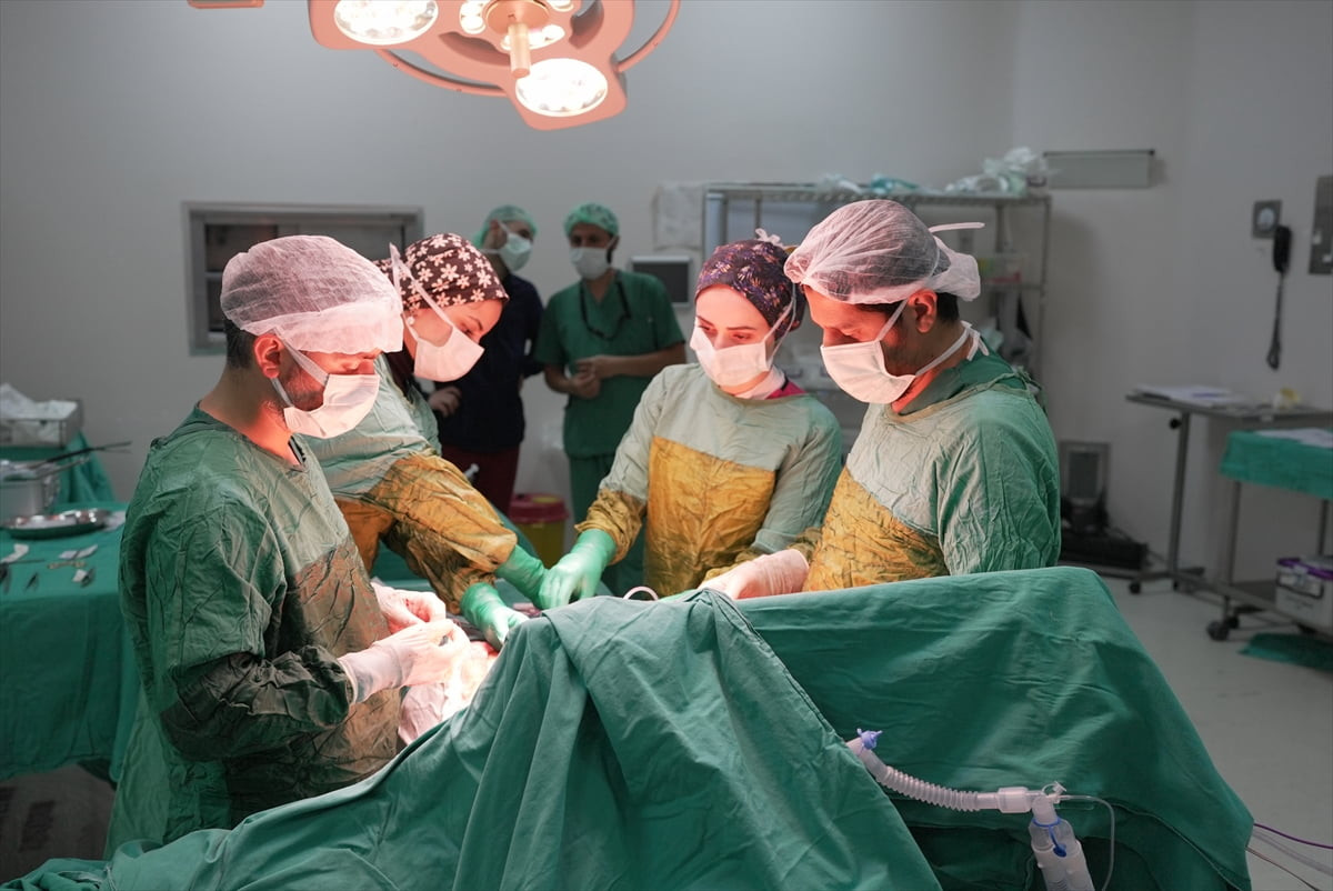 Malatya Eğitim ve Araştırma Hastanesinde (MEAH) bir hastanın böbrek ve böbrek üstü bezlerinden 2...