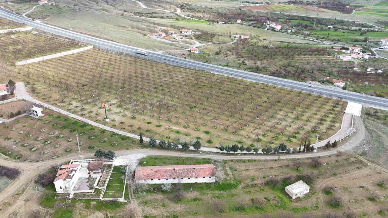 MALATYA'DA ÇİÇEKLENME DÖNEMİNE GİREN KAYISIDA ZİRAİ DON ENDİŞESİ YAŞANIRKEN, BAZI ÜRETİCİLER...