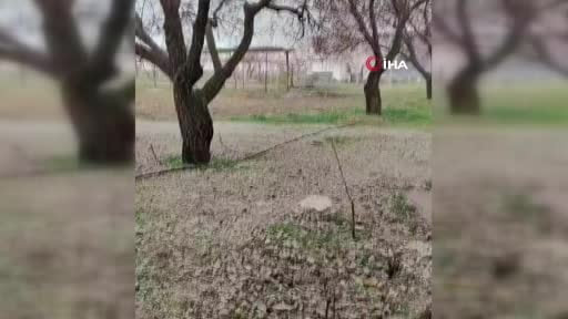 Malatya'da dolu yağışı etkili oldu