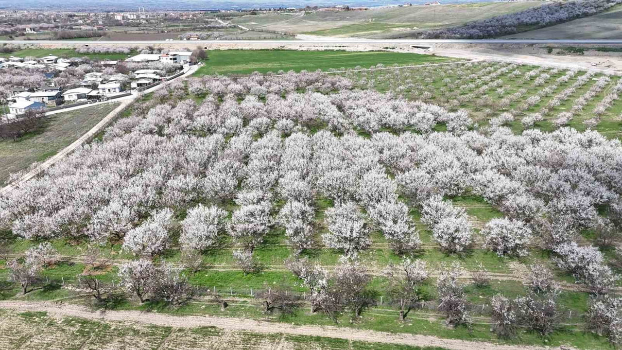 MALATYA'DA KAYISIDA İKLİM ENDİŞESİ DEVAM EDİYOR
