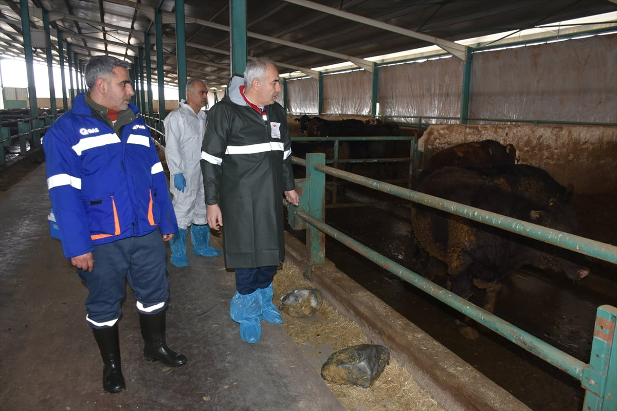 Malatya'da, Tarım ve Orman Bakanlığının 2026 Yılı Hayvan Hastalıkları ile Mücadele ve Aşılama...