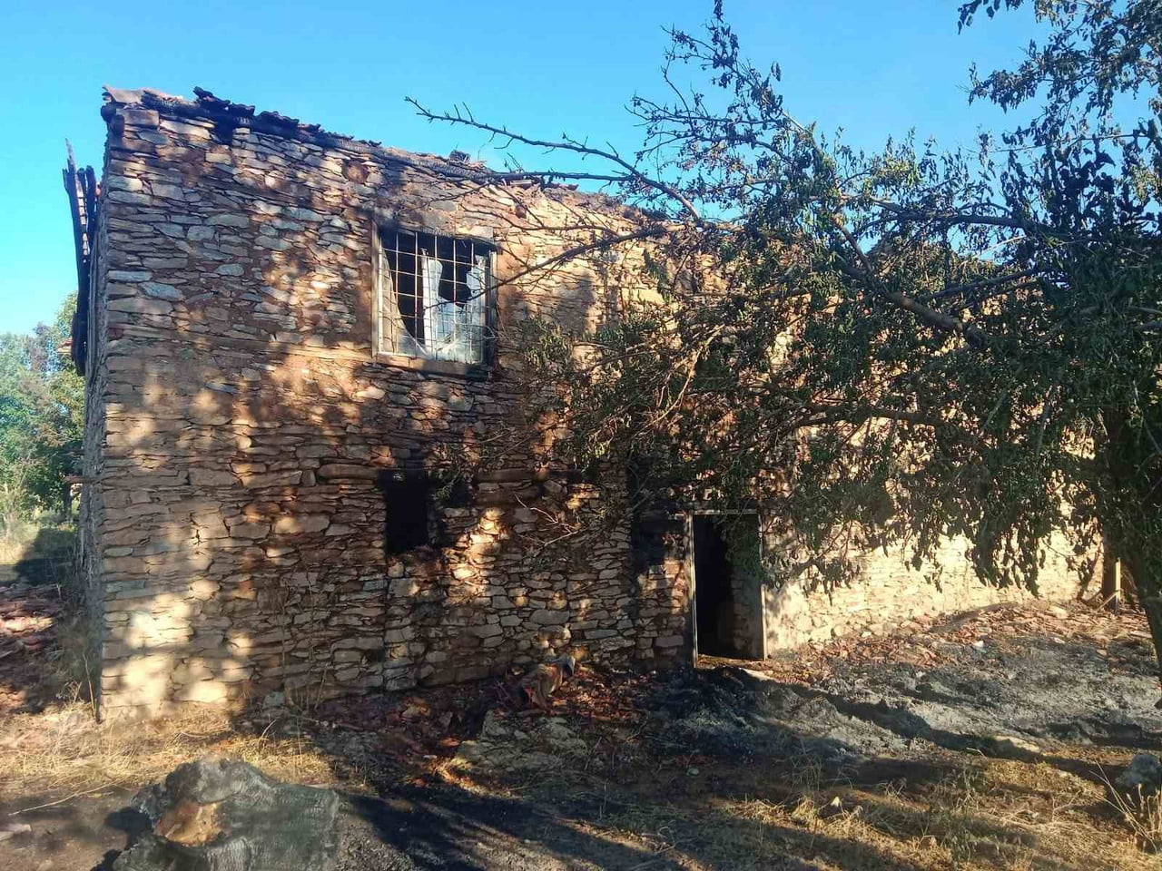 MALATYA'NIN PÜTÜRGE İLÇESİNDE ÇIKAN YANGINDA 2 EV İLE YAKLAŞIK 20 DÖNÜM MEYVE BAHÇESİ VE ORMANLIK...