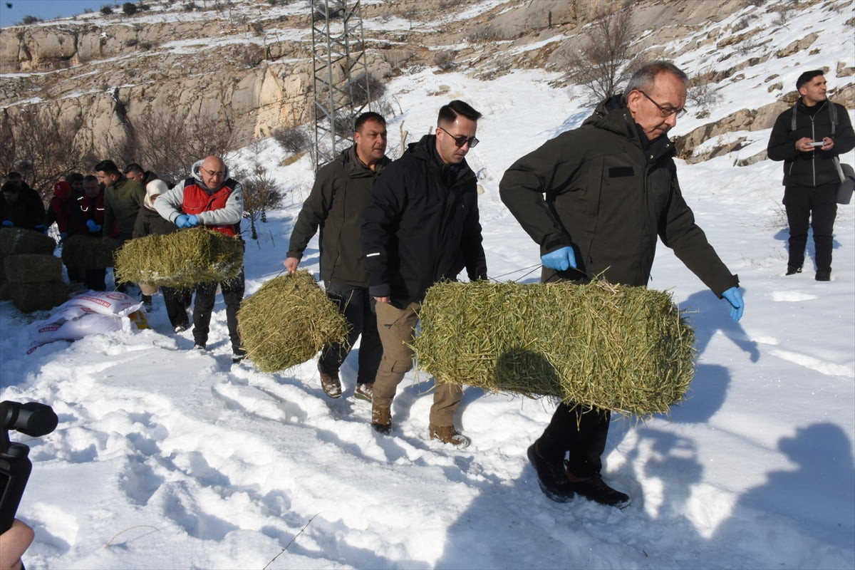 Malatya’da kar ve don nedeniyle yiyecek bulmakta zorlanan yaban hayvanları için doğaya yem...