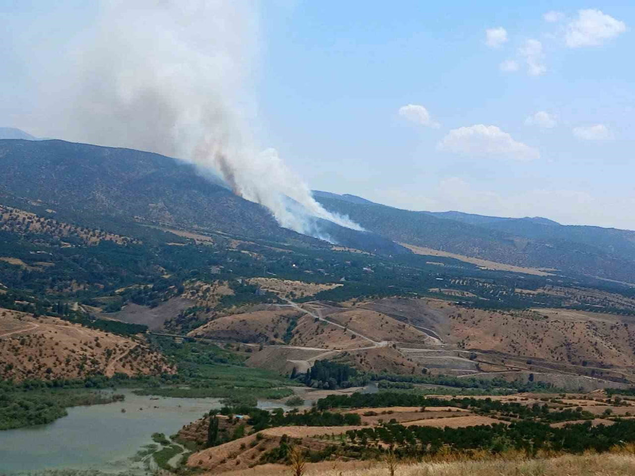 MALATYA’NIN PÜTÜRGE İLÇESİNDE ORMAN YANGINI ÇIKTI