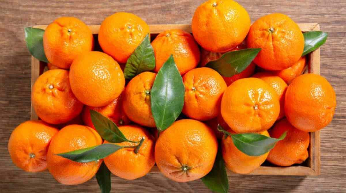 Mandalina