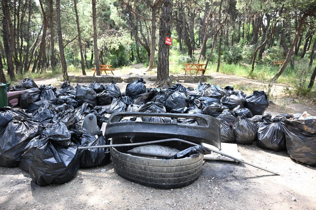 MANİSA BÜYÜKŞEHİR BELEDİYESİ, 5 HAZİRAN DÜNYA ÇEVRE GÜNÜ KAPSAMINDA ÇİFTLİK PARK MESİRE ALANI’NDA...