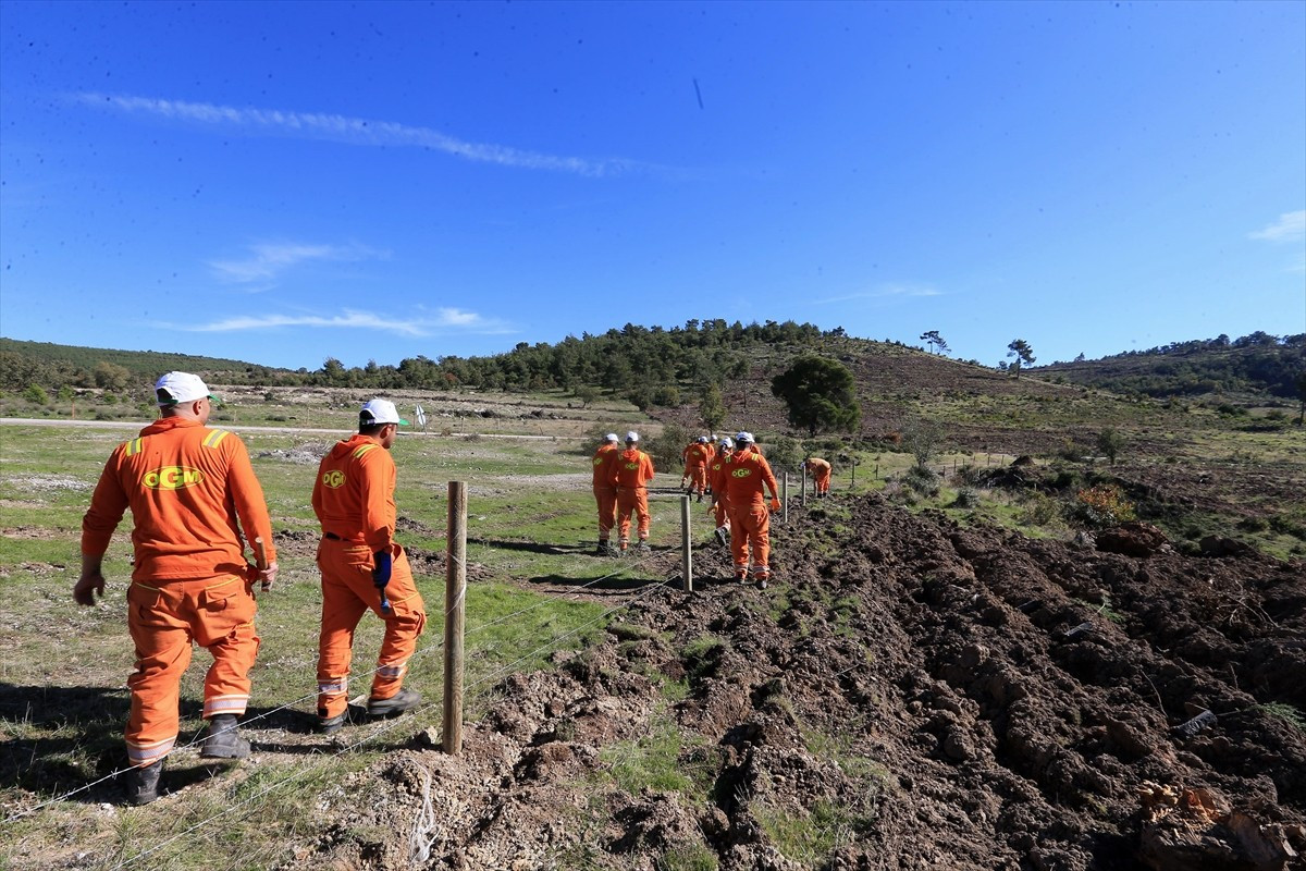 Manisa'da hükümlüler, ormanların korunması ve geleceğe taşınması için çalışmaya başladı. Adalet...