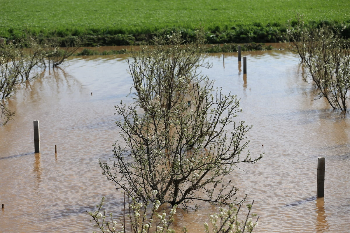 Manisa'da sağanak ve fırtınanın ardından başlatılan hasar tespit çalışmaları devam ediyor. Gediz...