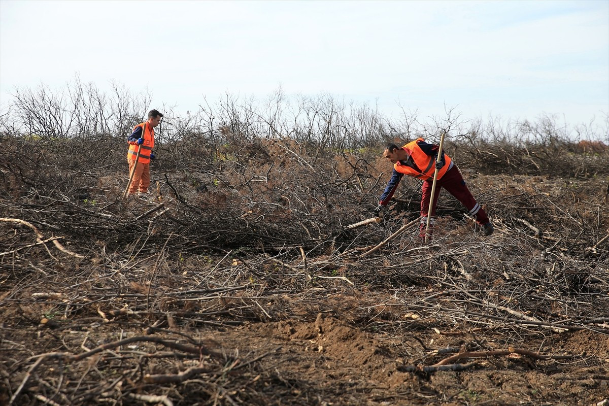 Manisa'da, yangın sezonunda alevlerle mücadele eden orman işçileri, bu kez "yeşil vatan"ı eski...