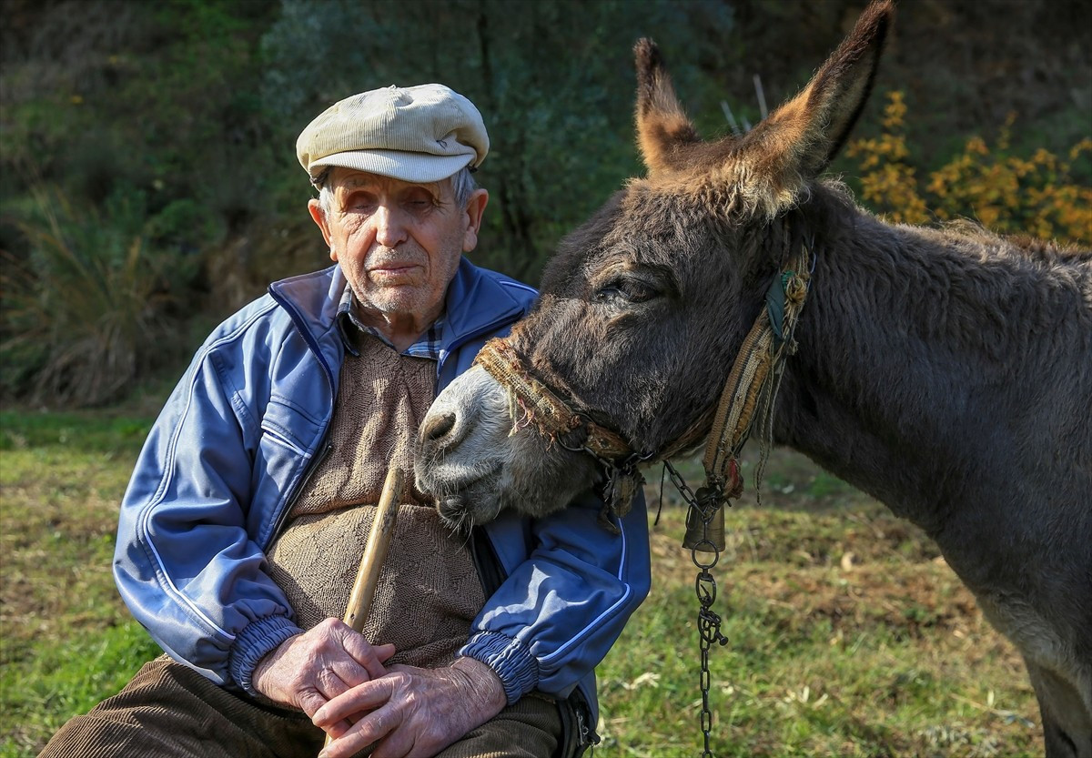 Manisa'da yaşayan 82 yaşındaki görme engelli Raif Kurt (fotoğrafta), "Magare" ismini verdiği...