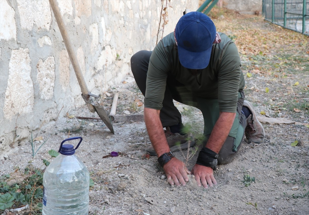 Manisa'dan 4 yıl önce "81 il 81 Fidan Ormanlar İçin Yürüyorum" sloganıyla yola çıkan Ömer Özer...