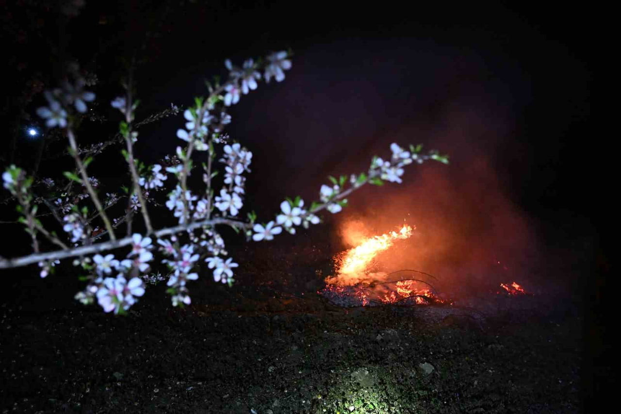 MANİSA'NIN DEMİRCİ İLÇESİNDE HAVA SICAKLIKLARININ SIFIRIN ALTINDA 3 DERECEYE KADAR DÜŞMESİYLE...