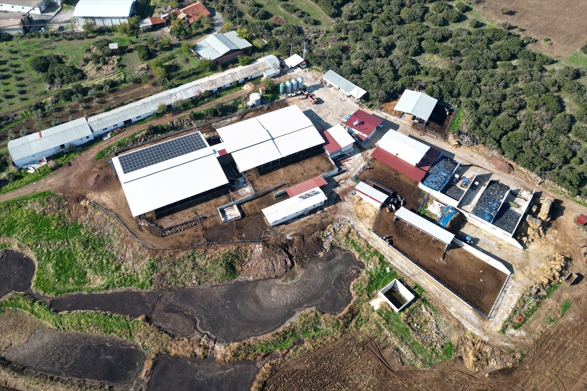 Manisa'nın Kula ilçesinde, Tarım ve Kırsal Kalkınmayı Destekleme Kurumundan (TKDK) aldığı üç ayrı...