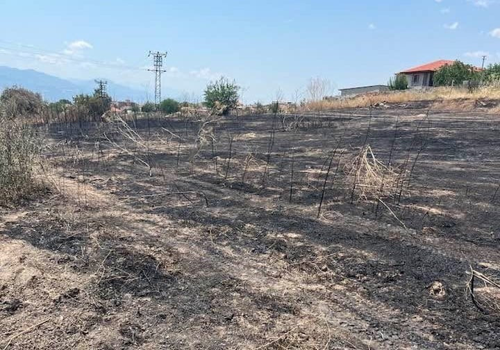 MANİSA'NIN SARIGÖL İLÇESİNDE OTLUK ALANDA ÇIKAN YANGIN, MAHALLE SAKİNLERİ VE İTFAİYE EKİPLERİNİN...